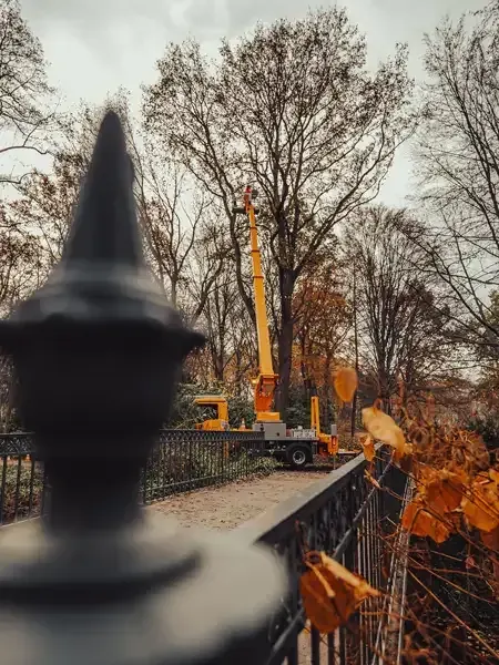 Arbeiten Im Park