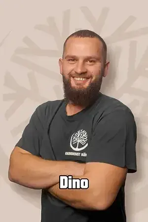 Dino
