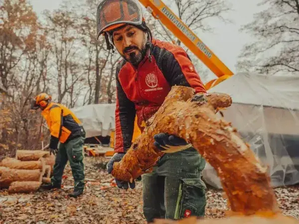 Waldarbeiten Baumarbeiten Baumexperte